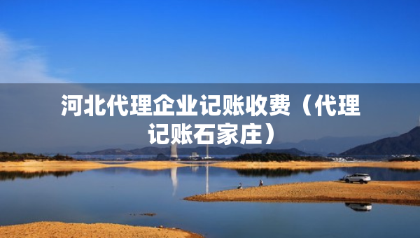 河北代理企業(yè)記賬收費（代理記賬石家莊）