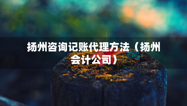 揚州咨詢記賬代理方法（揚州會計公司）