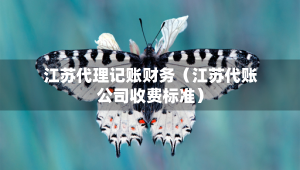 江蘇代理記賬財(cái)務(wù)（江蘇代賬公司收費(fèi)標(biāo)準(zhǔn)）