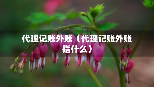 代理記賬外賬（代理記賬外賬指什么）