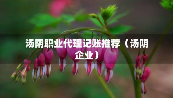 湯陰職業(yè)代理記賬推薦（湯陰企業(yè)）
