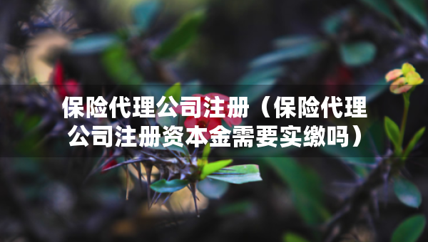 保險(xiǎn)代理公司注冊(cè)（保險(xiǎn)代理公司注冊(cè)資本金需要實(shí)繳嗎）