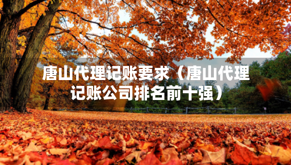 唐山代理記賬要求（唐山代理記賬公司排名前十強(qiáng)）