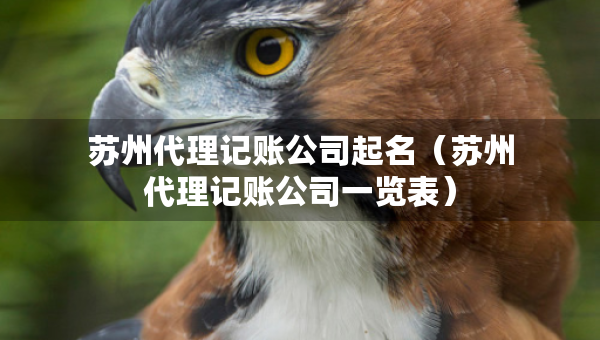 蘇州代理記賬公司起名（蘇州代理記賬公司一覽表）