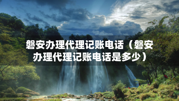 磐安辦理代理記賬電話（磐安辦理代理記賬電話是多少）