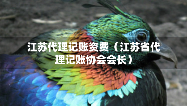 江蘇代理記賬資費（江蘇省代理記賬協(xié)會會長）