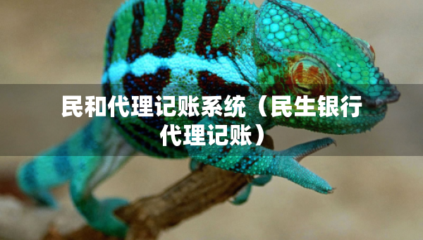 民和代理記賬系統(tǒng)（民生銀行代理記賬）