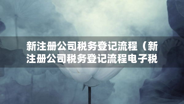 新注冊公司稅務登記流程（新注冊公司稅務登記流程電子稅務局）