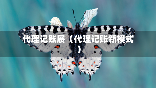 代理記賬展（代理記賬新模式）