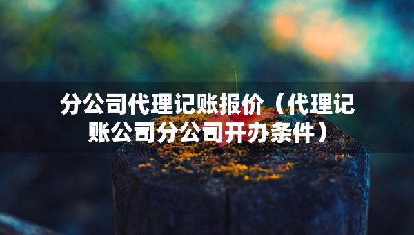 分公司代理記賬報(bào)價(jià)（代理記賬公司分公司開辦條件）