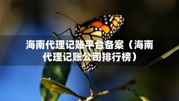 海南代理記賬平臺(tái)備案（海南代理記賬公司排行榜）