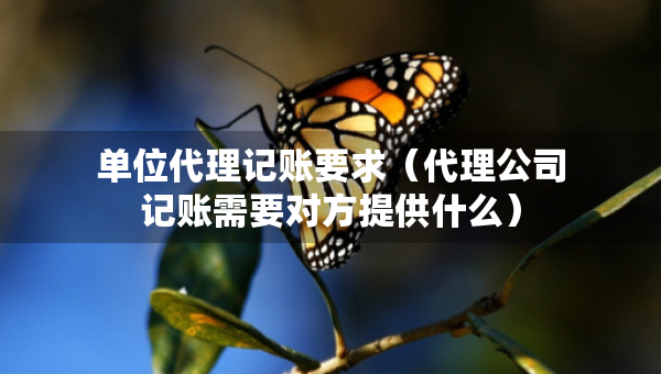 單位代理記賬要求（代理公司記賬需要對(duì)方提供什么）