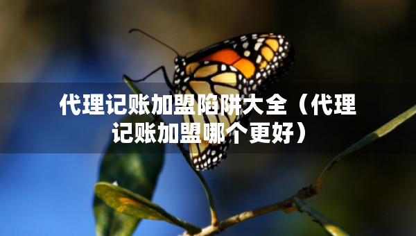 代理記賬加盟陷阱大全（代理記賬加盟哪個(gè)更好）