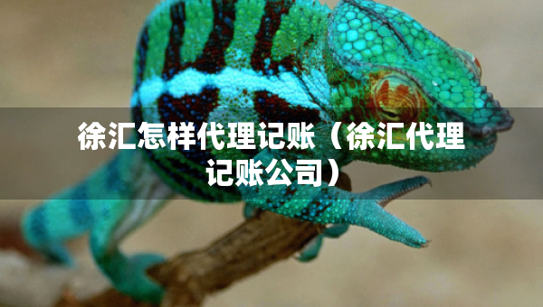 徐匯怎樣代理記賬（徐匯代理記賬公司）