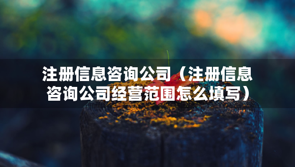 注冊信息咨詢公司（注冊信息咨詢公司經營范圍怎么填寫）