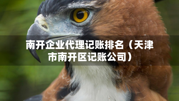 南開企業(yè)代理記賬排名（天津市南開區(qū)記賬公司）