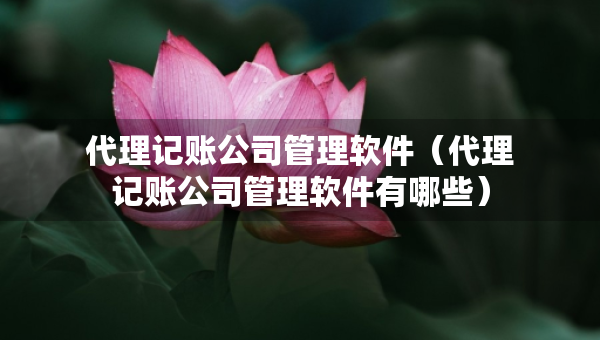代理記賬公司管理軟件（代理記賬公司管理軟件有哪些）