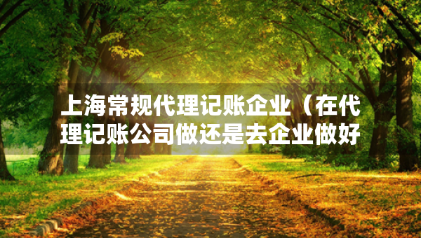 上海常規(guī)代理記賬企業(yè)（在代理記賬公司做還是去企業(yè)做好）
