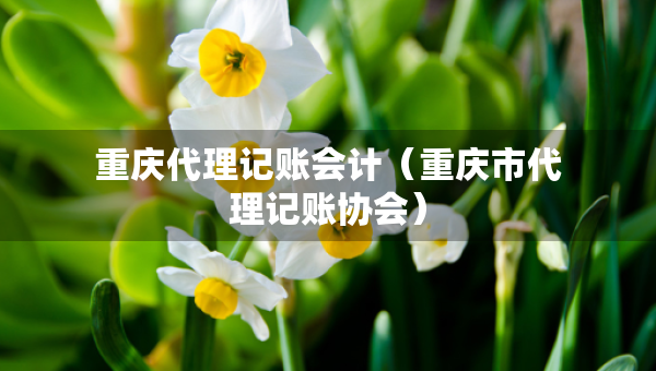 重慶代理記賬會計（重慶市代理記賬協(xié)會）
