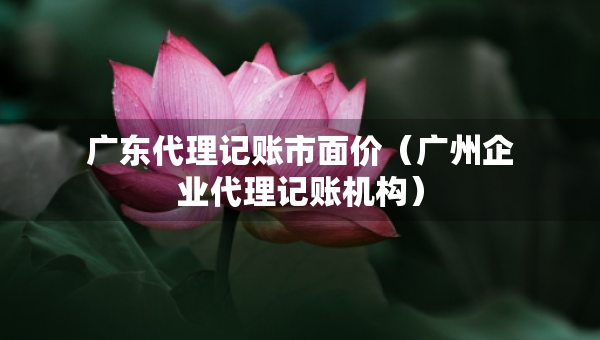 廣東代理記賬市面價(jià)（廣州企業(yè)代理記賬機(jī)構(gòu)）