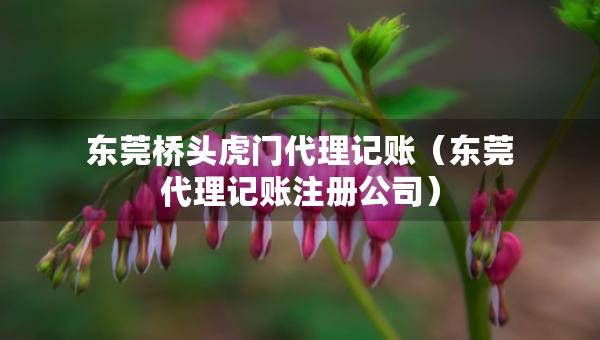 東莞橋頭虎門代理記賬（東莞代理記賬注冊公司）