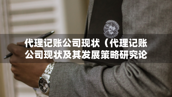 代理記賬公司現(xiàn)狀（代理記賬公司現(xiàn)狀及其發(fā)展策略研究論文）