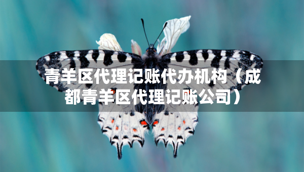 青羊區(qū)代理記賬代辦機(jī)構(gòu)（成都青羊區(qū)代理記賬公司）