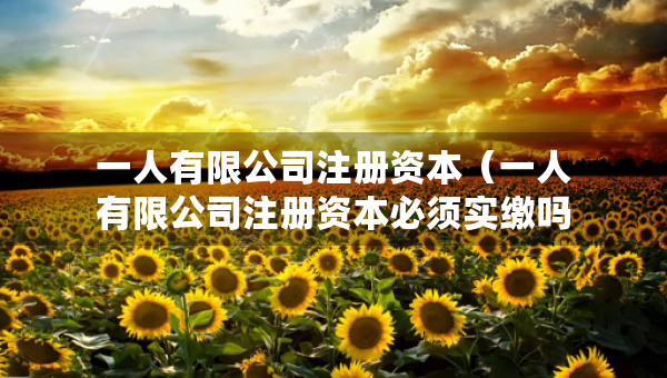 一人有限公司注冊資本（一人有限公司注冊資本必須實繳嗎）