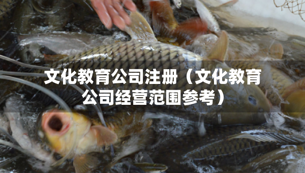 文化教育公司注冊(cè)（文化教育公司經(jīng)營范圍參考）