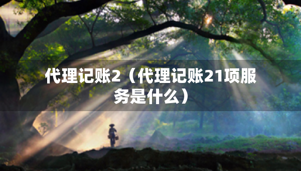 代理記賬2（代理記賬21項(xiàng)服務(wù)是什么）
