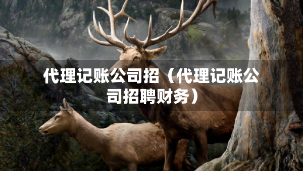 代理記賬公司招（代理記賬公司招聘財(cái)務(wù)）
