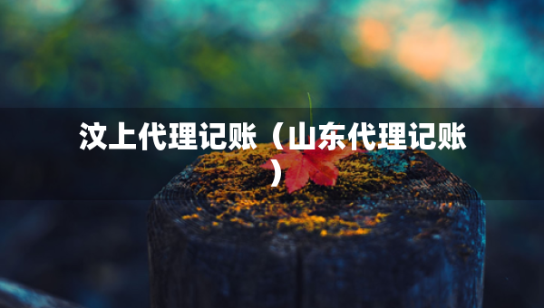 汶上代理記賬（山東代理記賬）