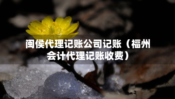閩侯代理記賬公司記賬（福州會(huì)計(jì)代理記賬收費(fèi)）