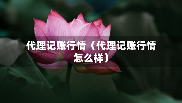 代理記賬行情（代理記賬行情怎么樣）