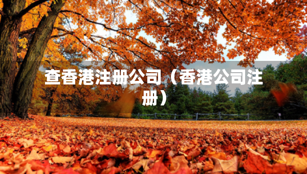 查香港注冊(cè)公司(香港公司注冊(cè)) 查香港注冊(cè)公司(香港公司注冊(cè))
