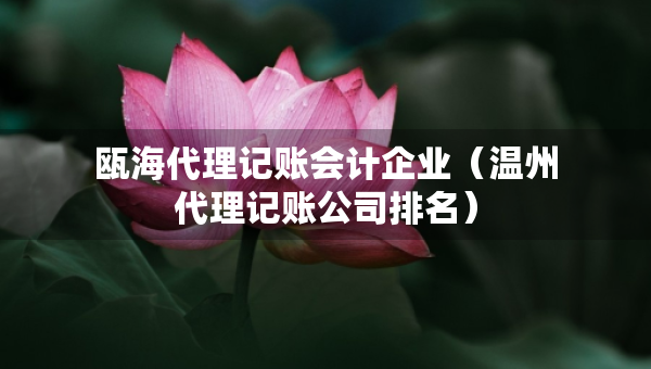 甌海代理記賬會(huì)計(jì)企業(yè)（溫州代理記賬公司排名）