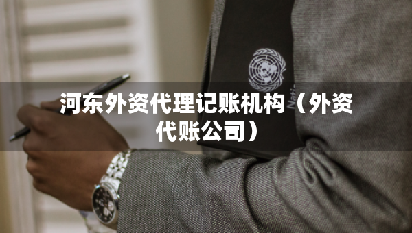 河?xùn)|外資代理記賬機(jī)構(gòu)（外資代賬公司）