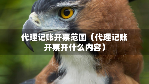 代理記賬開票范圍（代理記賬開票開什么內(nèi)容）