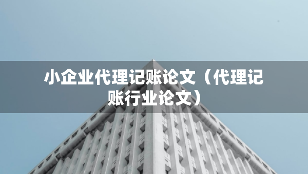 小企業(yè)代理記賬論文（代理記賬行業(yè)論文）