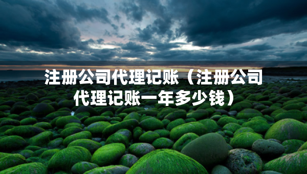 注冊公司代理記賬（注冊公司代理記賬一年多少錢）
