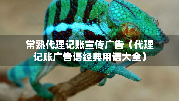 常熟代理記賬宣傳廣告(代理記賬廣告語(yǔ)經(jīng)典用語(yǔ)大全) 常熟代理記賬宣傳廣告(代理記賬廣告語(yǔ)經(jīng)典用語(yǔ)大全)