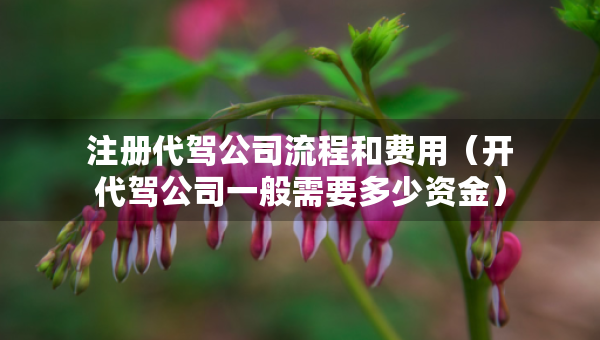 注冊代駕公司流程和費用（開代駕公司一般需要多少資金）