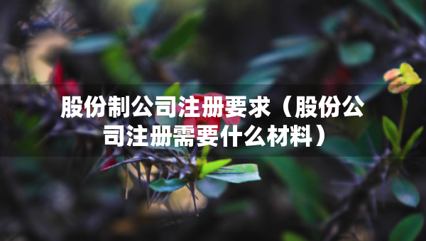 股份制公司注冊要求（股份公司注冊需要什么材料）