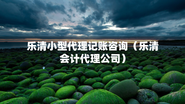 樂清小型代理記賬咨詢（樂清會計代理公司）