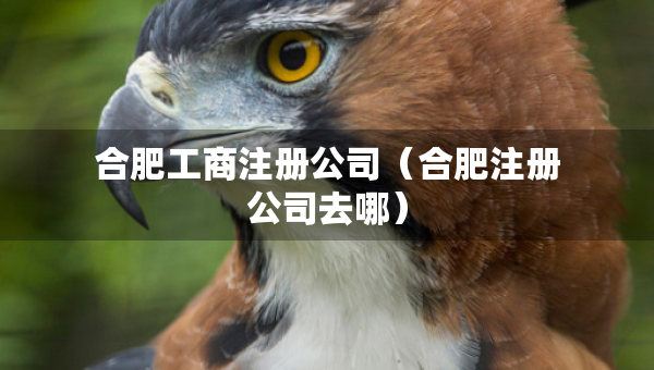 合肥工商注冊(cè)公司（合肥注冊(cè)公司去哪）