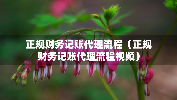 正規(guī)財務(wù)記賬代理流程（正規(guī)財務(wù)記賬代理流程視頻）