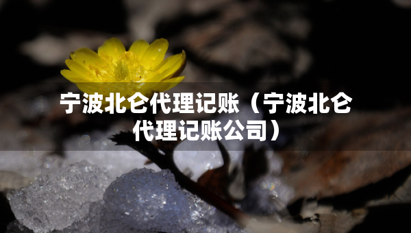 寧波北侖代理記賬（寧波北侖代理記賬公司）