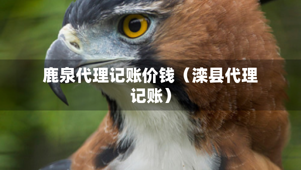 鹿泉代理記賬價錢（灤縣代理記賬）