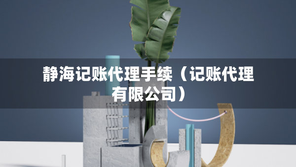 靜海記賬代理手續(xù)（記賬代理有限公司）
