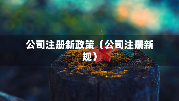 公司注冊(cè)新政策（公司注冊(cè)新規(guī)）